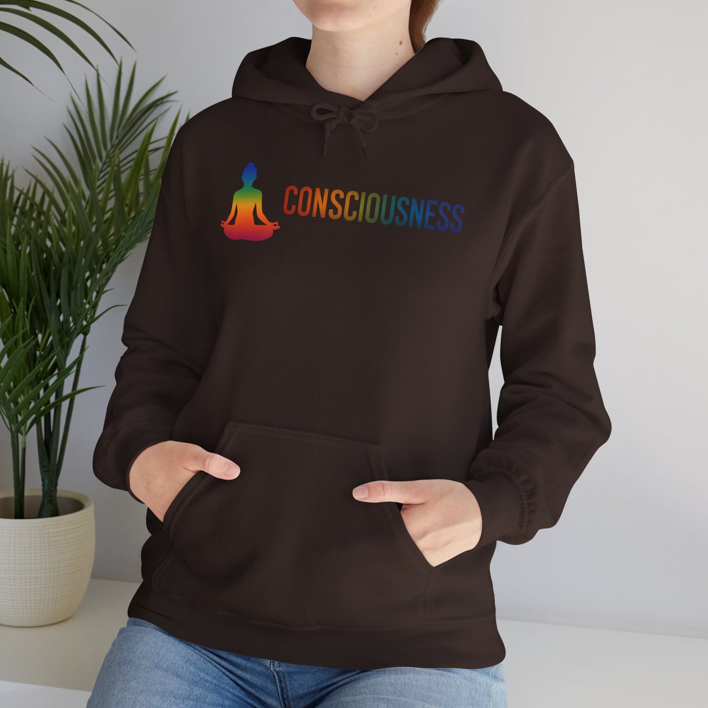 Conscious Flow Hoodie – Chakra Alignment Mindfulness Streetwear